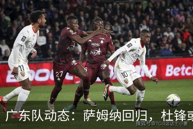 广东队动态：萨姆纳回归，杜锋或将出任国家队主教练？